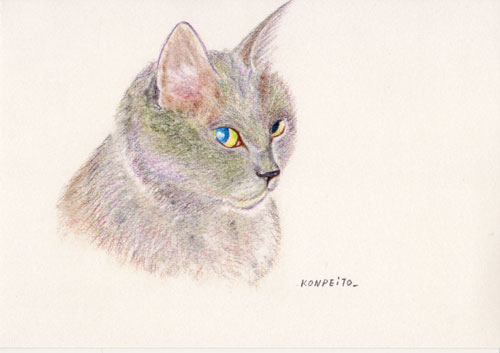 �R���y�C�ё���