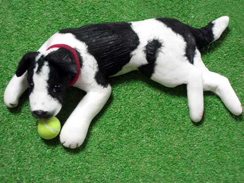 �{�[����D���I