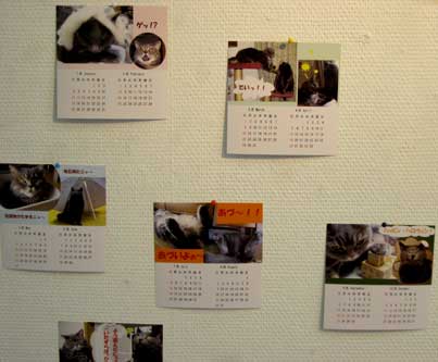 �����J�����_�[