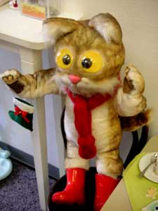 �����茒�����